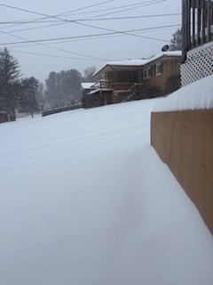 snowJan2903